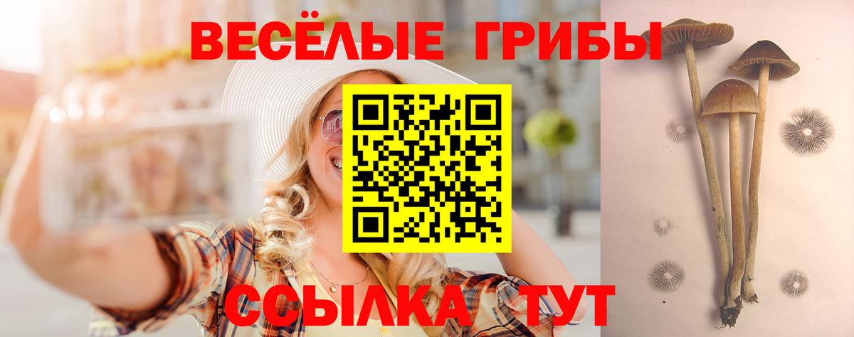 Псилоцибиновые грибы Magic Shrooms  Галлюциногенные грибы Psilocybine cubensis  Тосно  Вход с VPN 